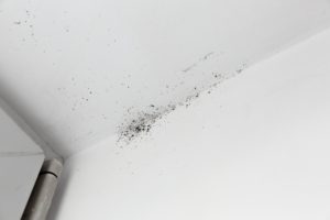 how to clean mold from central ac unit